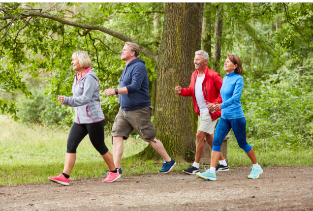 A group of retirees on a brisk walk through a forest trail, showcasing health and fitness as a vital part of how to plan a fulfilling day in retirement.