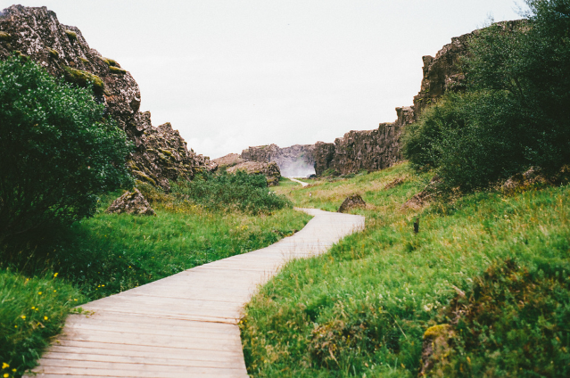 A scenic wooden pathway cutting through lush green hills, leading to a misty horizon. Symbolic of embarking on new journeys.