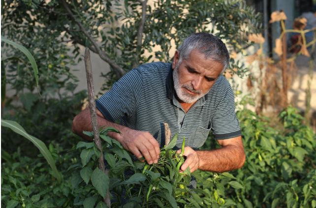 Retired man tending to plants.
