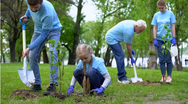 Volunteers of all ages planting trees in a park, showing how volunteering in retirement can promote environmental stewardship and community involvement.